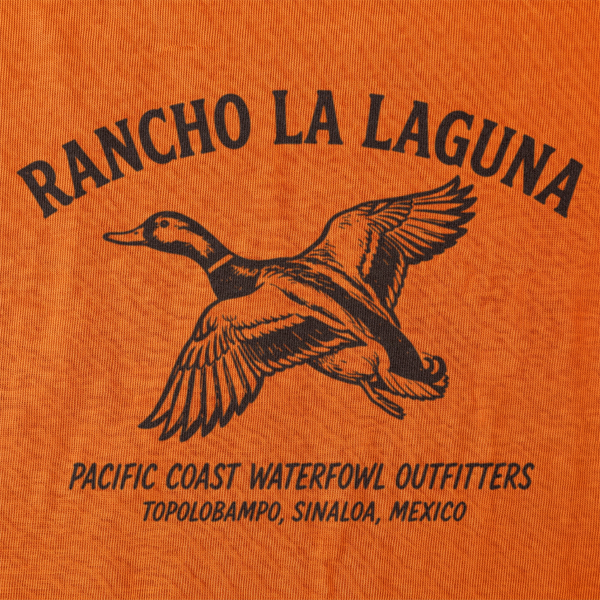 Rancho La Laguna Back