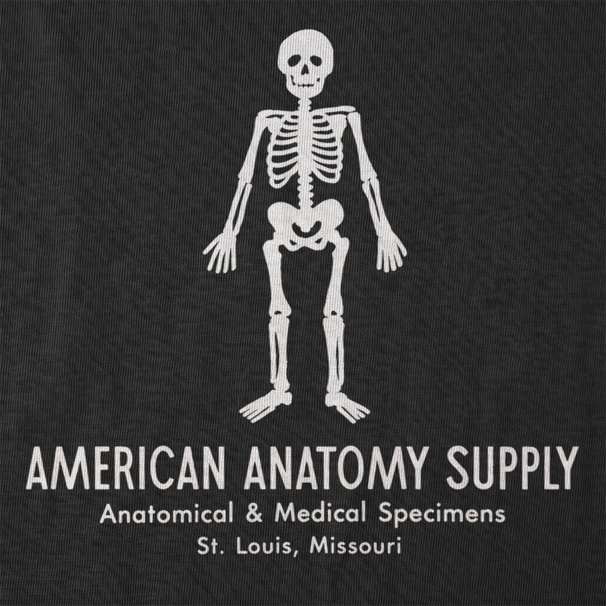 American Anatomy Front