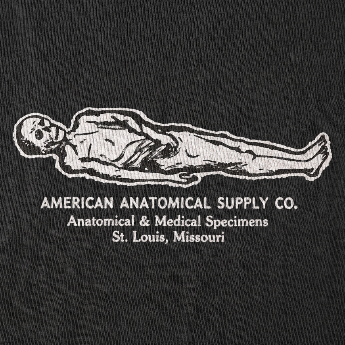 Anatomical Supply Front