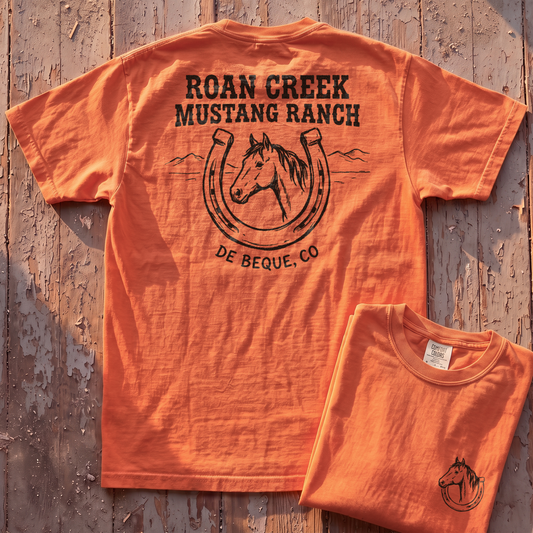 Roan Creek Mustang Ranch