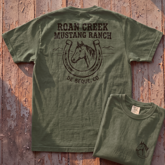 Roan Creek Mustang Ranch